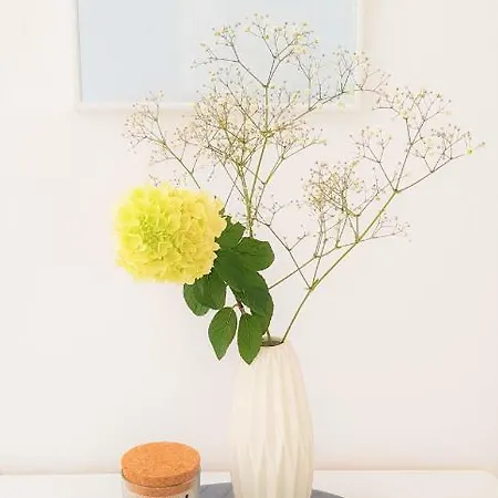 Apartamento Am Paradies - 10 Minuten Fussweg Zur Innenstadt *