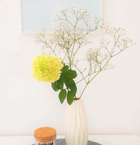 Apartamento Am Paradies - 10 Minuten Fussweg Zur Innenstadt *